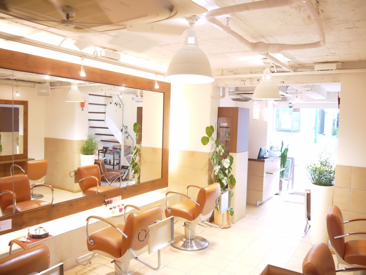 Neolive Louis 下高井戸店