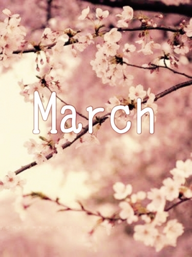 3月のお休み＊stylist西田まりえ