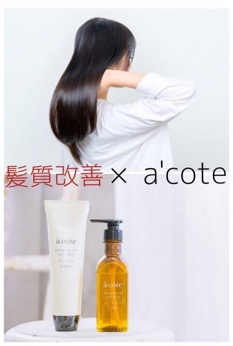 アコテキャンペーンスタート☆