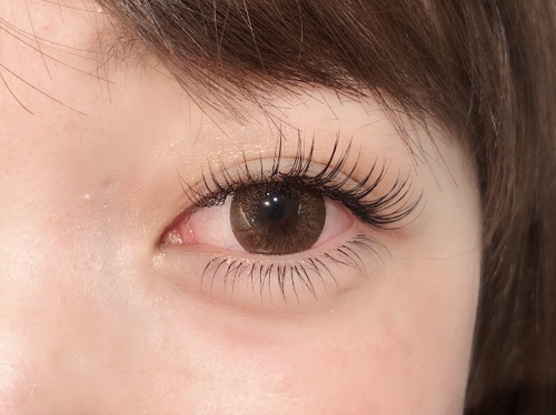 フラットセーブル♪