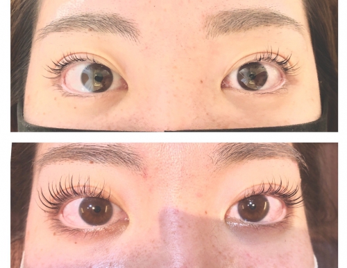 ラッシュアディクトサロンケア