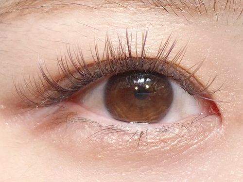 ロイッシュカラー導入しました♪