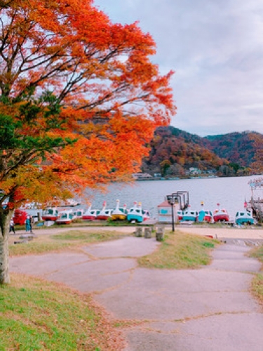 日光へ紅葉を見に。。★