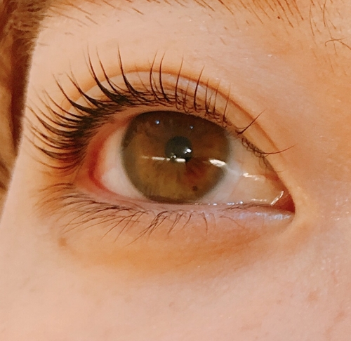 自まつ毛が抜けやすくなる時期とは？