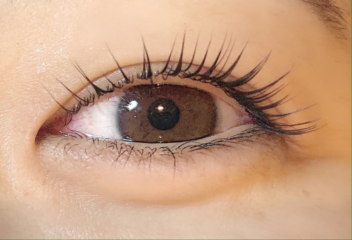 存在感のあるパリジェンヌラッシュリフト