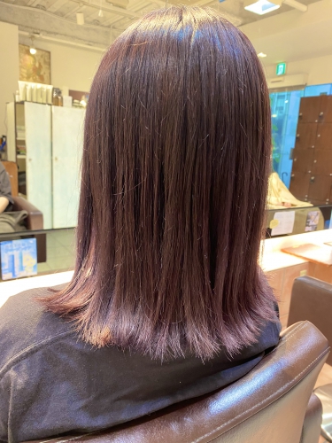 切りっぱなしラベンダーカラー