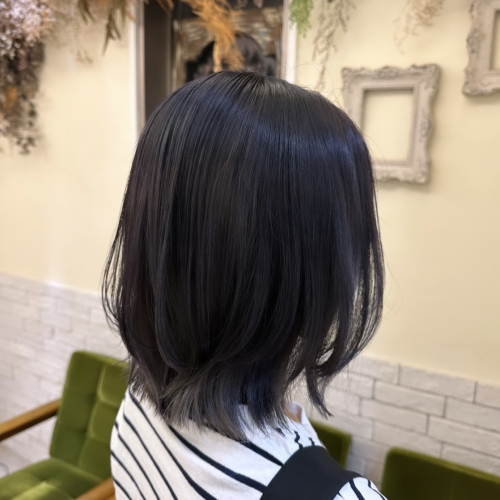 ダブルカラー ☆ ブルーブラック