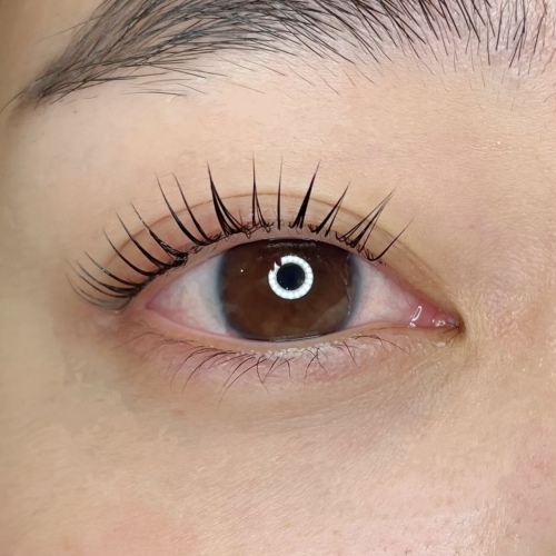 パリジェンヌラッシュリフト