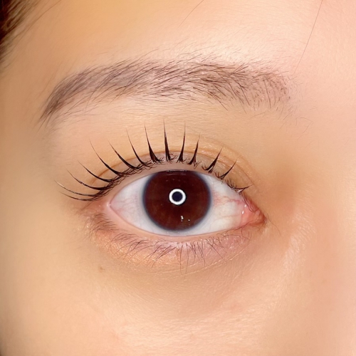 ラッシュリフト