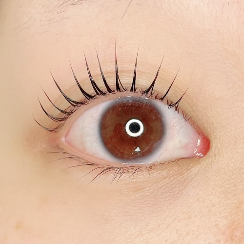 パリジェンヌラッシュリフト