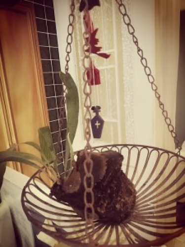 向ヶ丘遊園　登戸　美容室　Neolive plus　髪質改善