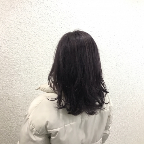 ダークラベンダー