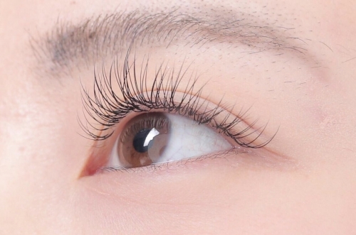 セーブルラッシュ