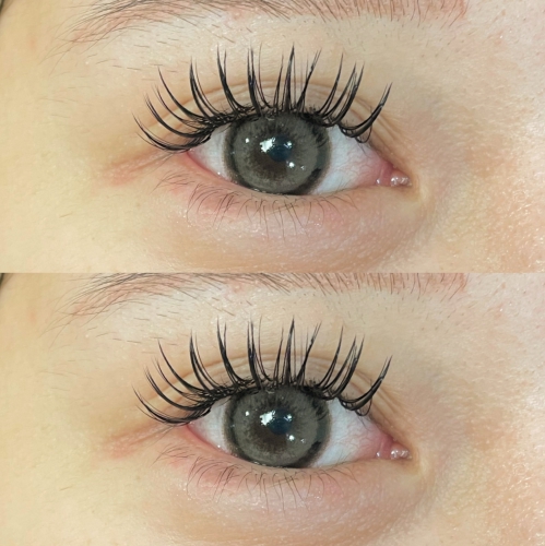 バインドロック110束