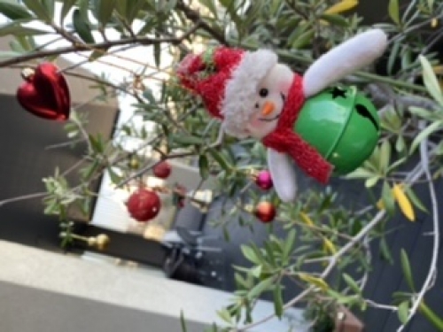 自由が丘美容院 quint:neolive キッズルーム完備 11/16.17.18.19約状況☆