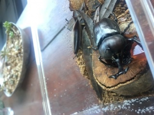 自由が丘美容院 quint:neolive キッズルーム完備 6/26,27,28予約状況☆