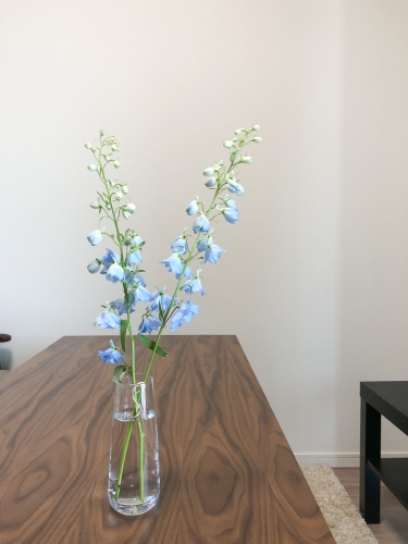 Olive S By Neolive 新宿店 美容室 美容院 Neolive ネオリーブ 渋谷 池袋 下北沢 自由が丘 新宿 銀座 吉祥寺 お茶の水 横浜 溝の口 表参道ほか