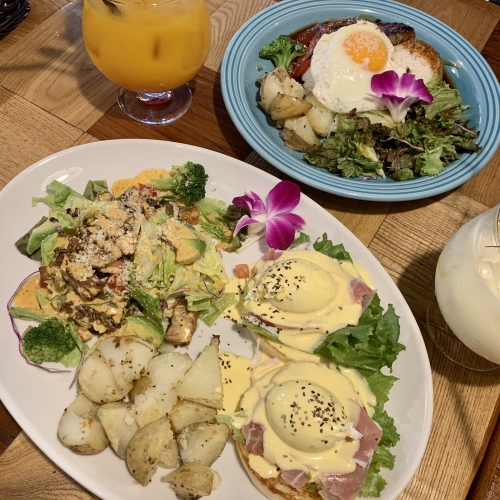 カフェ巡り☆茅ヶ崎