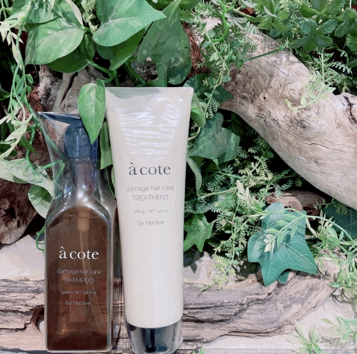 【acote】シルクシャンプー　池袋美容室　Neolive 成人式着付けヘアセット　メイク　