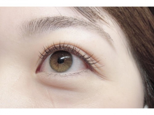 ナチュラルカーキブラウン＊