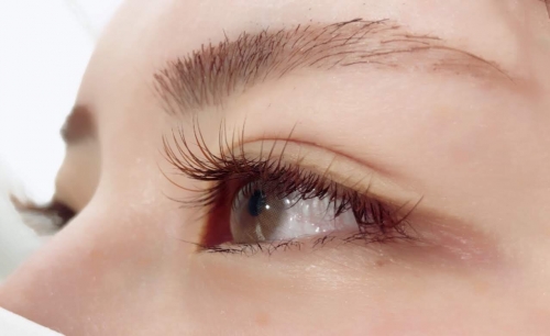 今年もよろしくお願い致します＊