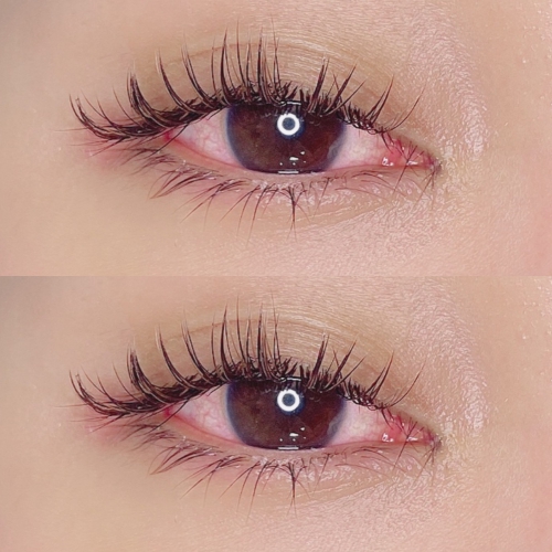 バインドロック120束