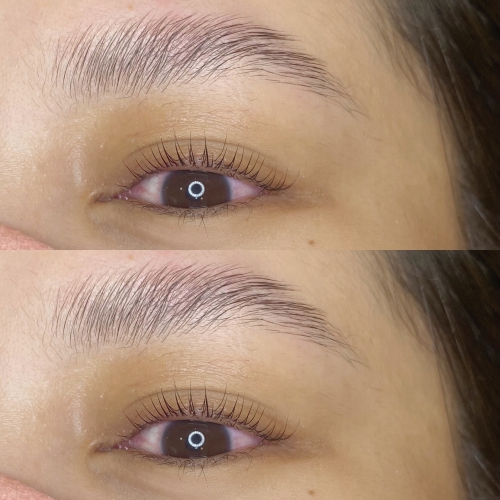 パリジェンヌラッシュリフト×ハリウッドブロウリフト