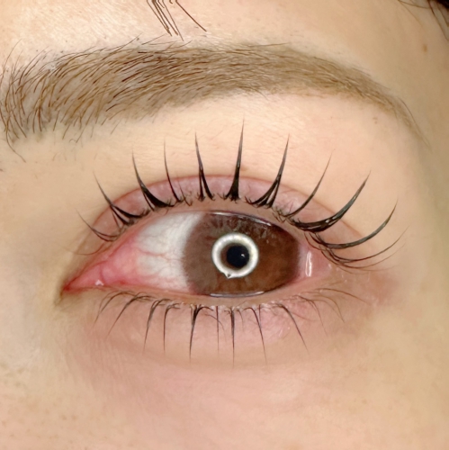 ラッシュリフト上下