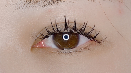 バインドロック80束