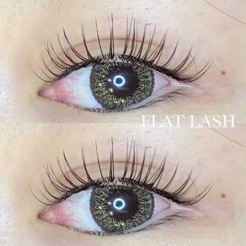 フラットラッシュ180本