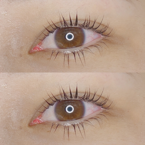 パリジェンヌラッシュリフト上下