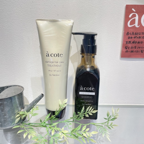 池袋 美容室 Neolive api 着付け メイク【アコテ】