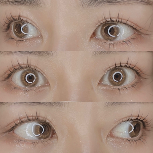 パリジェンヌ×ボリュームラッシュ