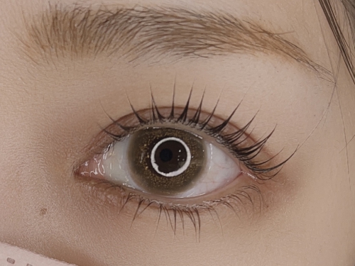 パリジェンヌラッシュリフト上下