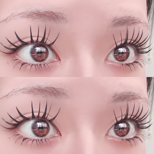 バインドロック×パリエクorアンドヘルシー