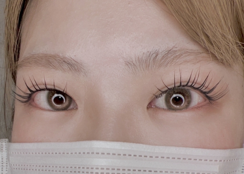 パリジェンヌラッシュリフト