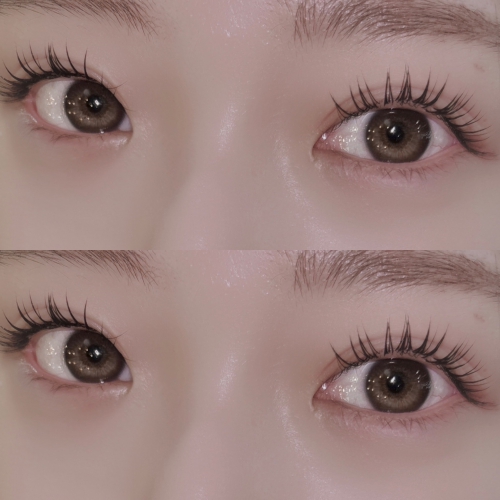 アンドヘルシー♪フラットラッシュ100本