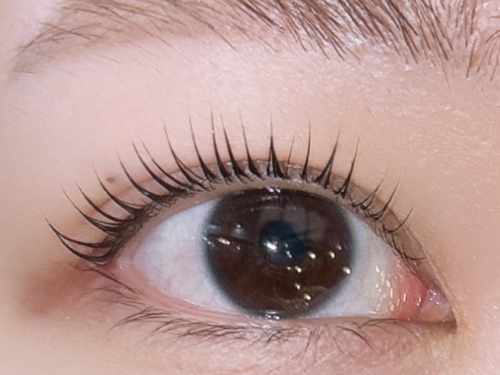 パリジェンヌラッシュリフト