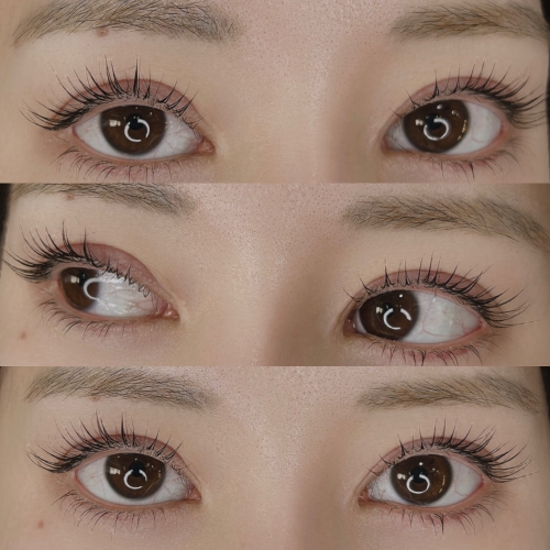 パリジェンヌラッシュリフト上下