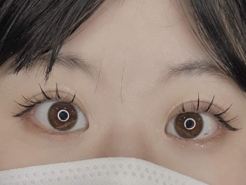 パリジェンヌ×ワンホン