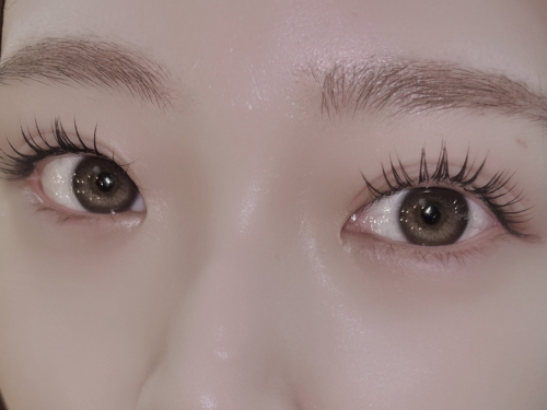 フラットラッシュ/アンドヘルシー