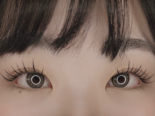 パリジェンヌ×ワンホンデザイン