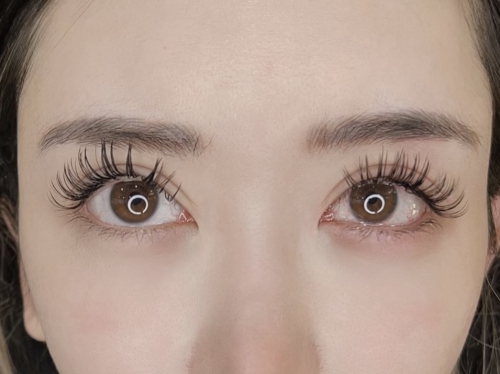 バインドロック×アップワード