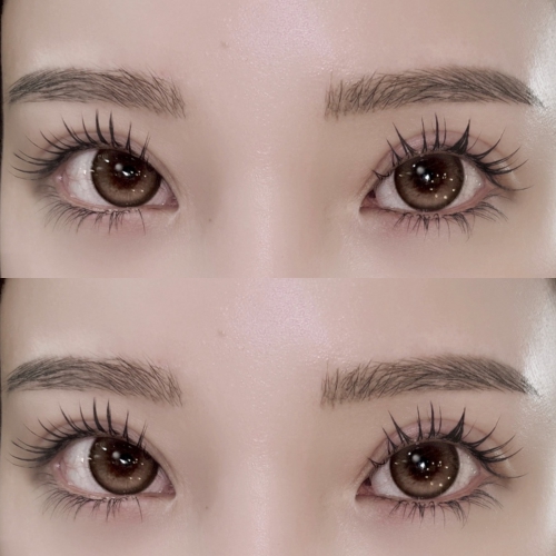 バインドロック×パリエクorアンドヘルシー