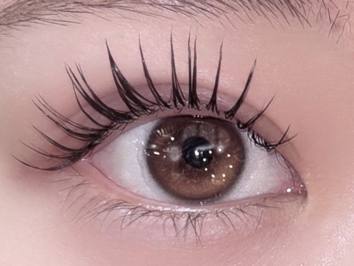 バインドロック40束×アンドヘルシー