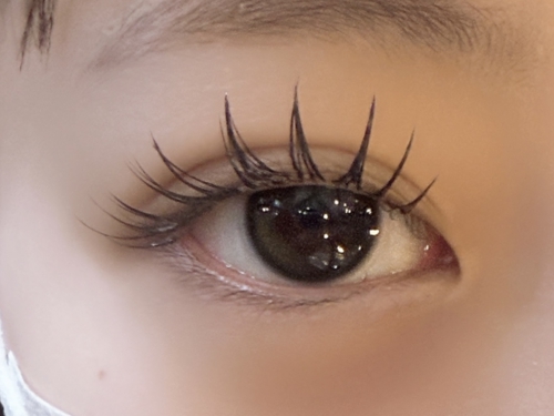 バインドロック×パリエクorアンドヘルシー