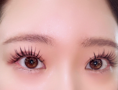 バインドロック40束×アンドヘルシー