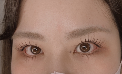 パリジェンヌラッシュリフト上下