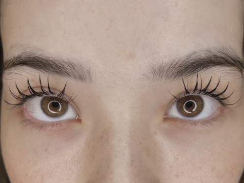 フラットラッシュ140本