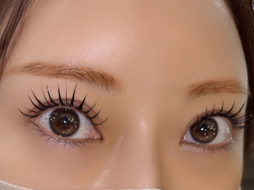 バインドロック×パリエクorアンドヘルシー